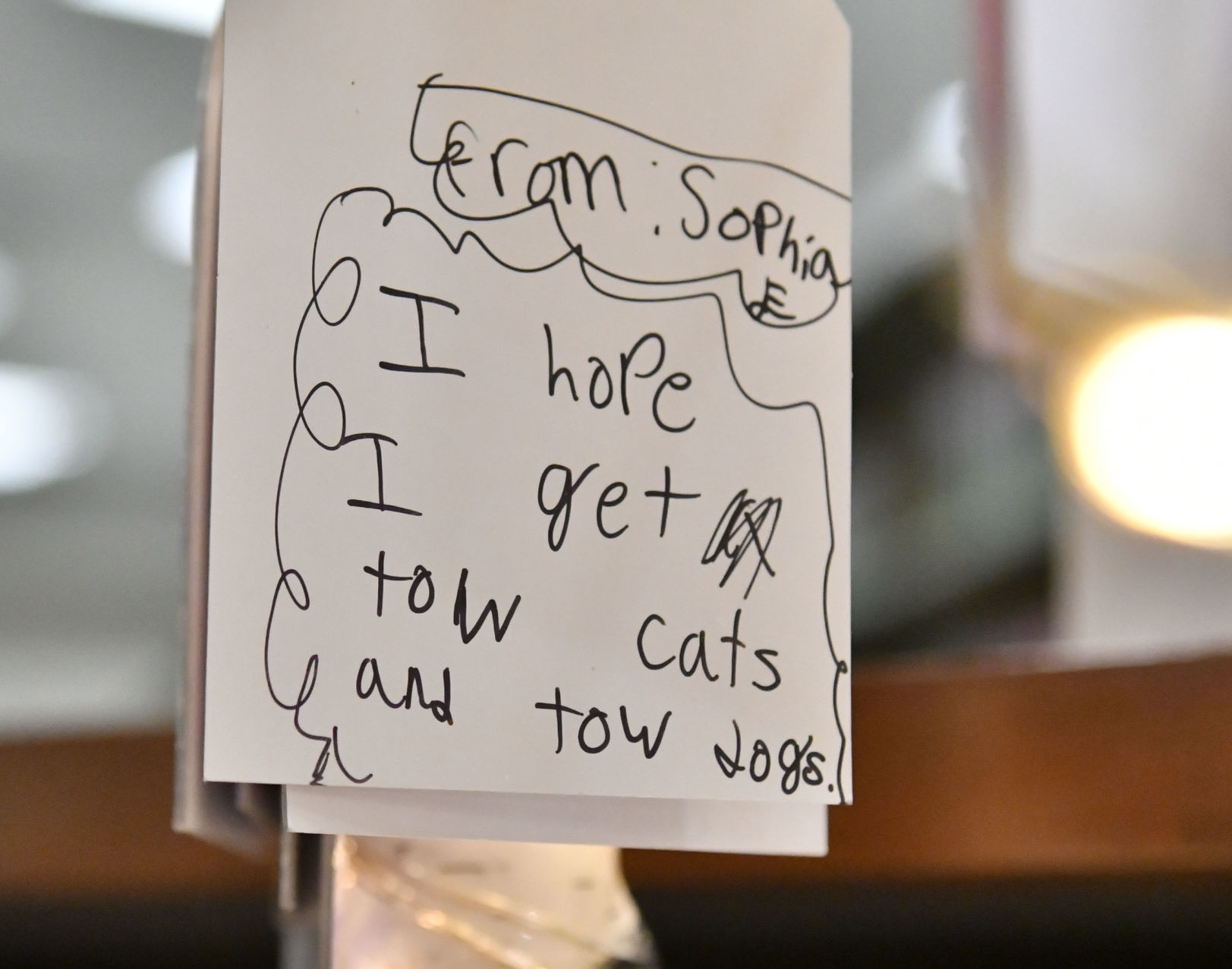113018 Library wishing tree 07.jpg